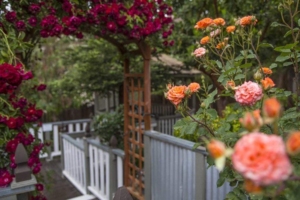 Forfriends Inn Wine Country Bed And Breakfast Santa Ynez Dış mekan fotoğraf